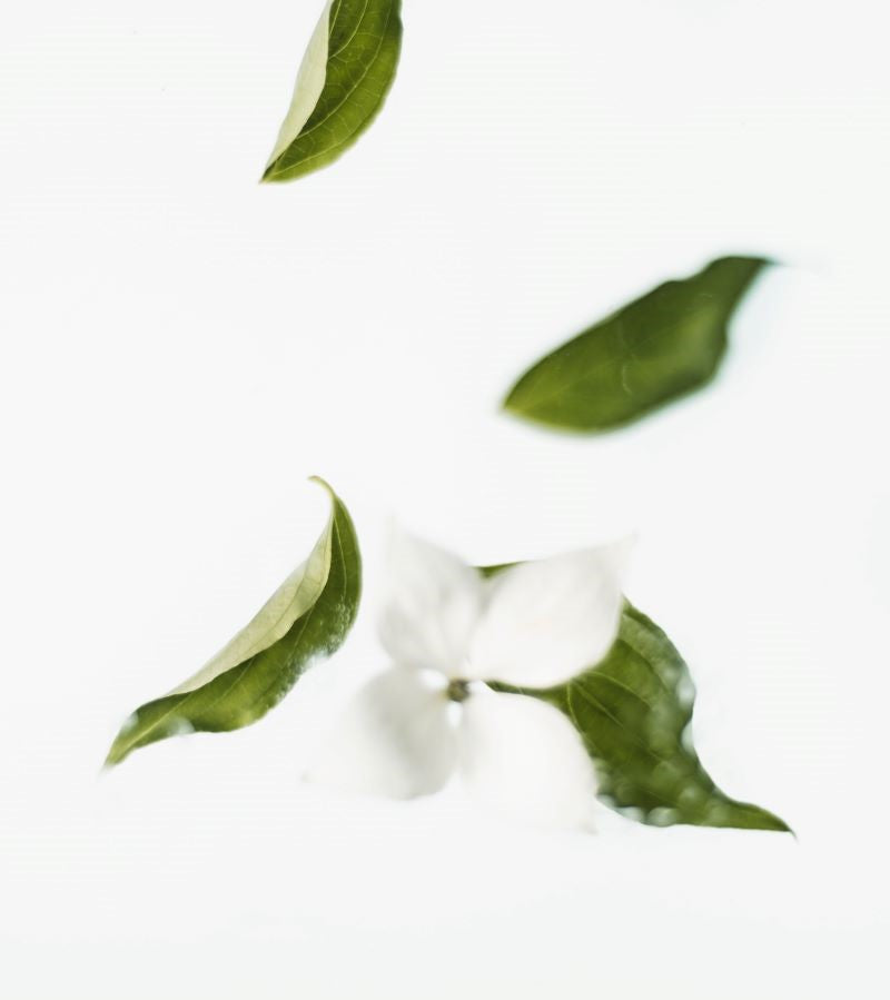 FIORE-NATURALE-BIO-OFFICINA-NATURAE